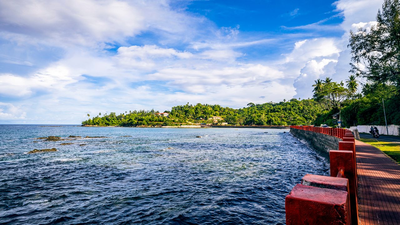 Andaman and Nicobar Food: Seafood Dishes, Local Flavors & Where to Eat