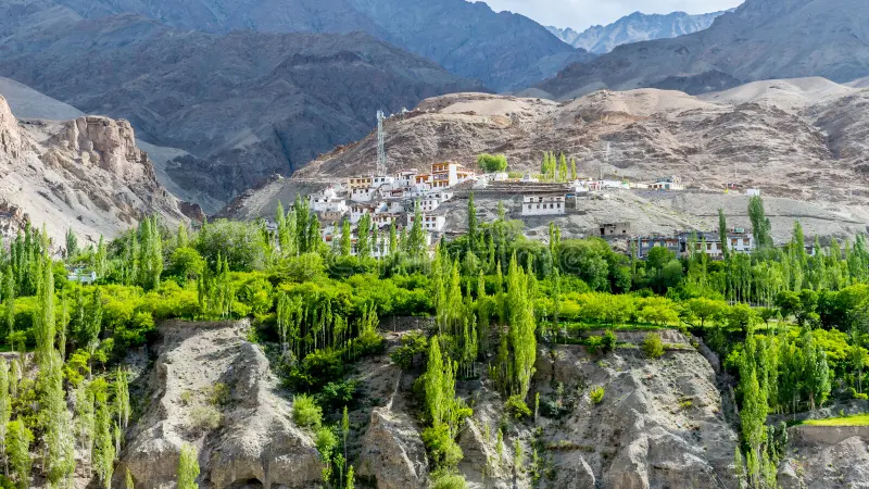Aryan Valley Ladakh: The Brokpa Tribe's Last Homeland