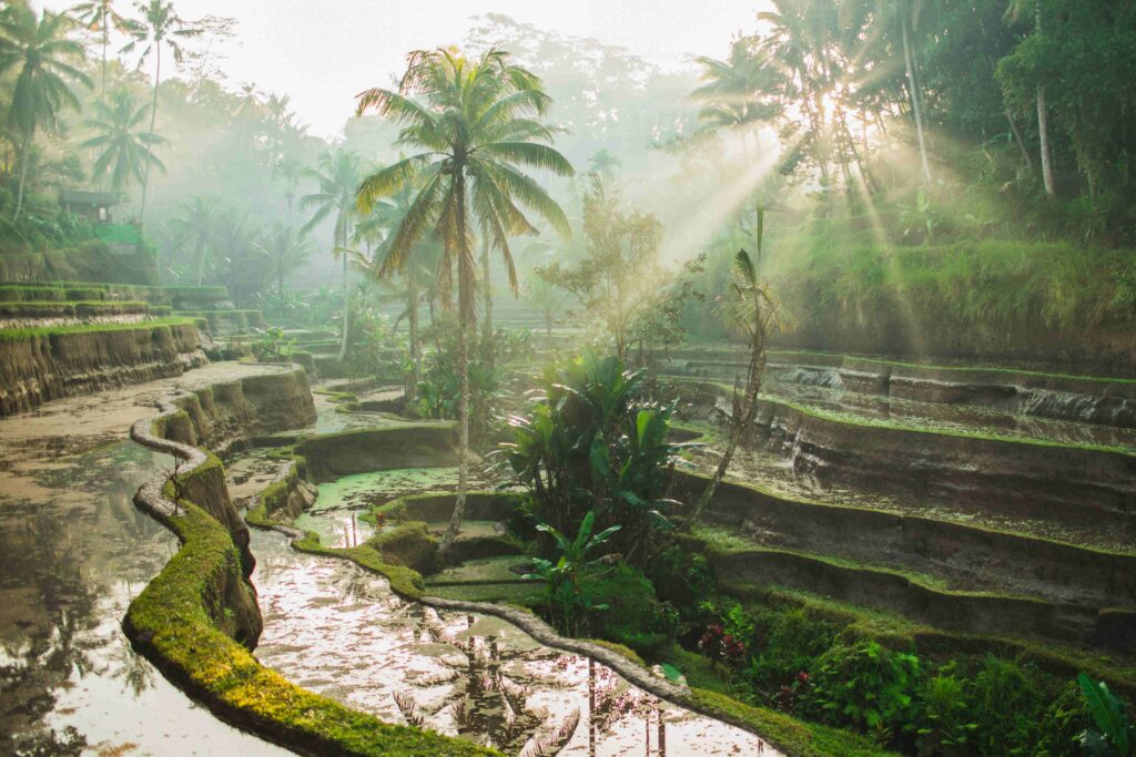 Bali in December: Rainy Season Guide with Travel Tips