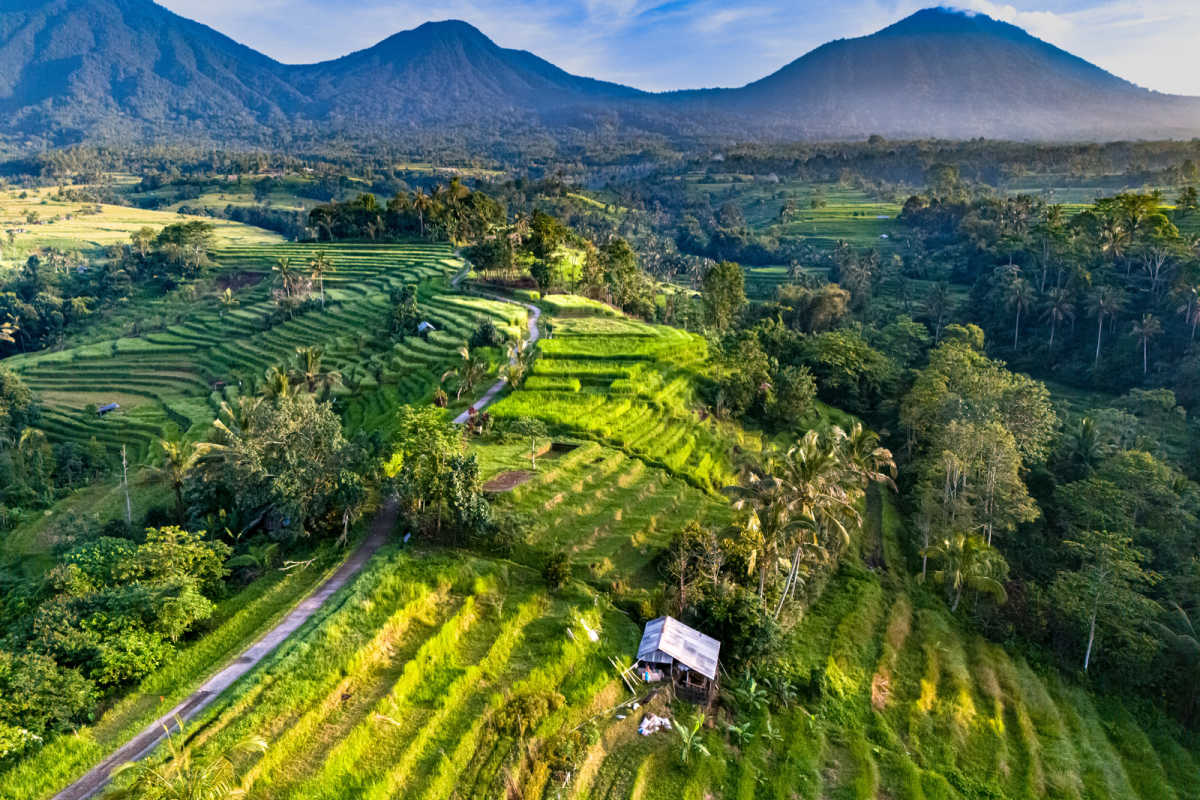 Bali: Complete Travel Plan Places And Weather