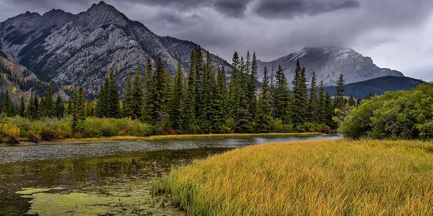 Barnawapara Wildlife Sanctuary: Safari Guide, Route & Tips