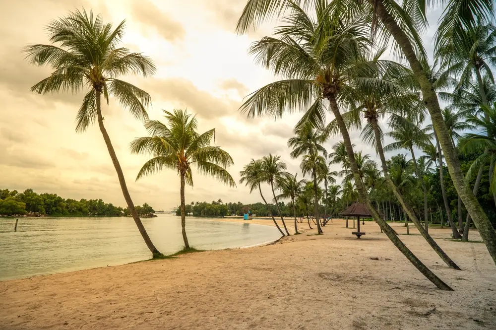 Best Beaches in Singapore: Ultimate Guide to Sentosa Island & Beyond