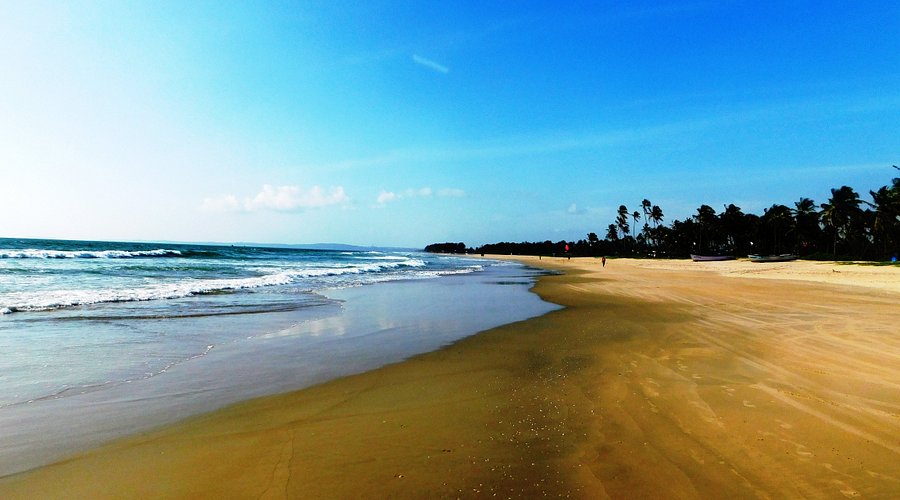 Benaulim Beach Goa: Best Time, Activities & Local Stays