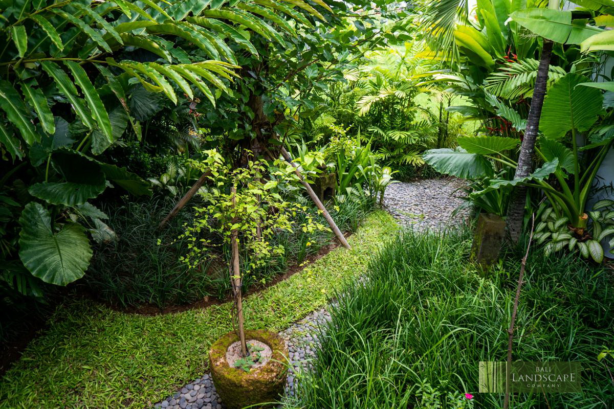 Best Time to Visit Bali: Season Guide and Travel Tips