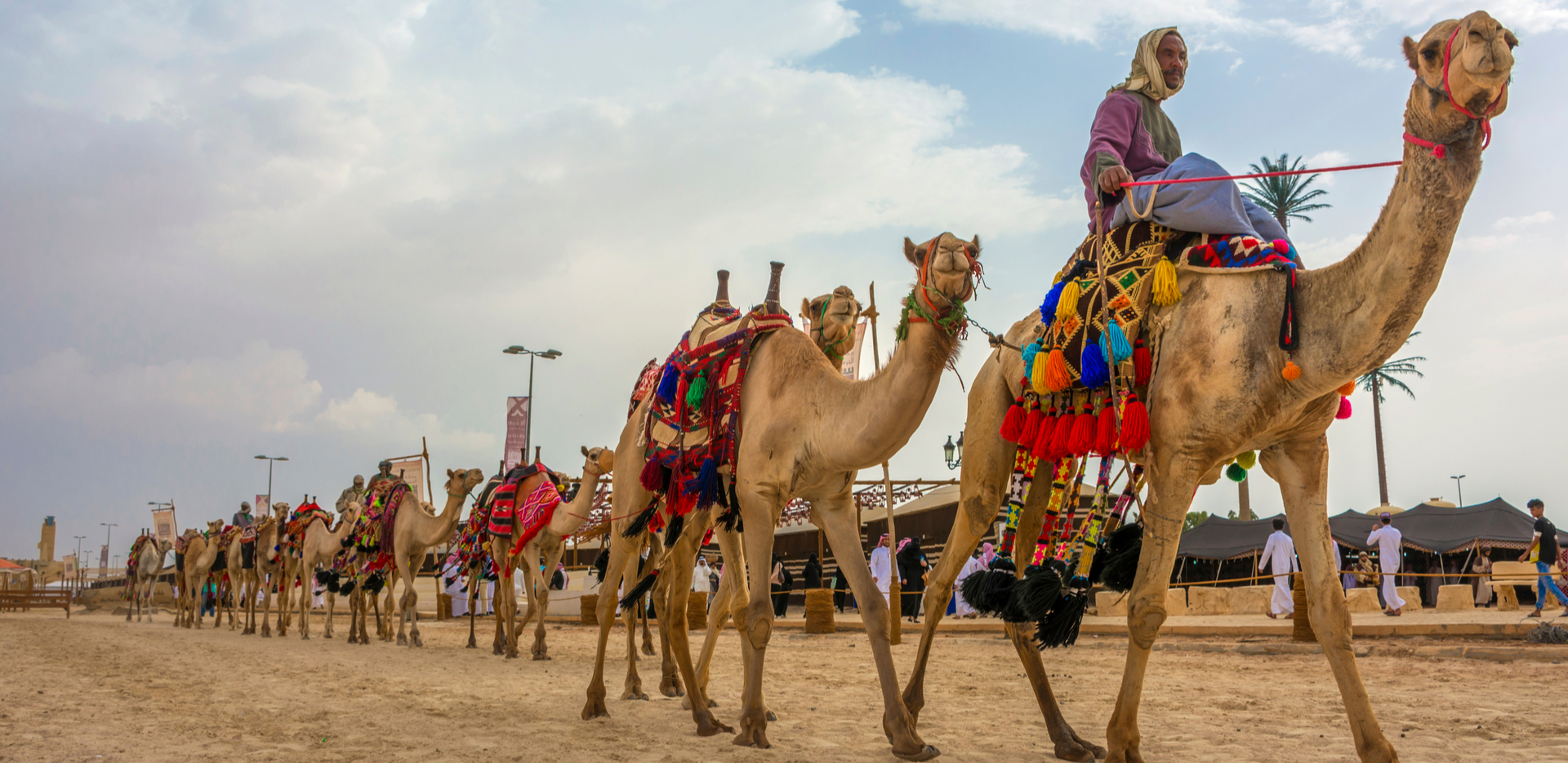 Bikaner Camel Festival: Dates, Culture and Travel Tips