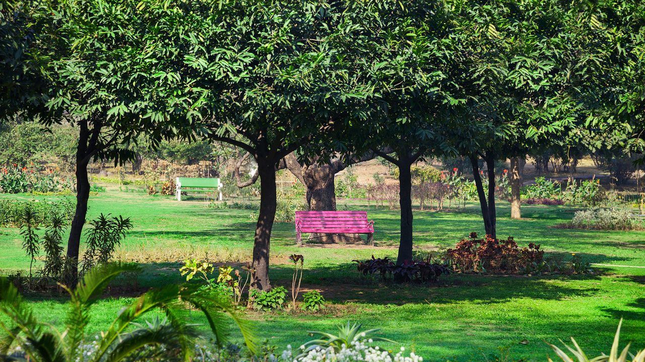 Buddha Jayanti Park Delhi: Timings & Entry Fee