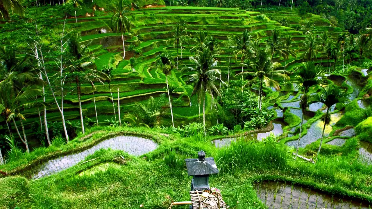 Budget Bali Itinerary 7 Days: Cost, Route & Practical Planning