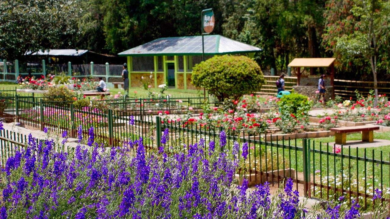 Butterfly Museum Shillong: Timings, Ticket Info & Visitor Details