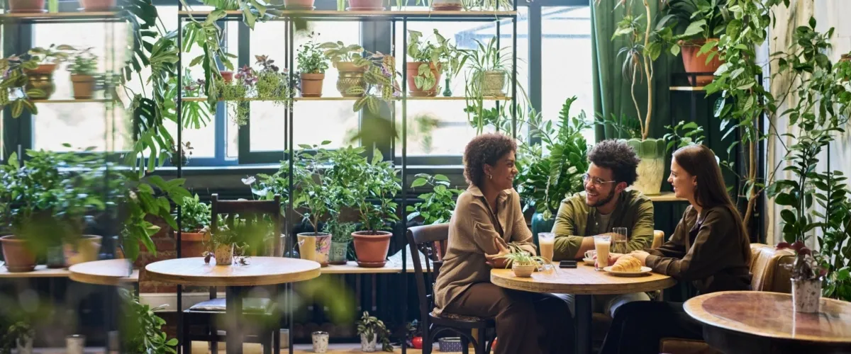 Cafe Shillong: Menu, Price Range & Ambience Review