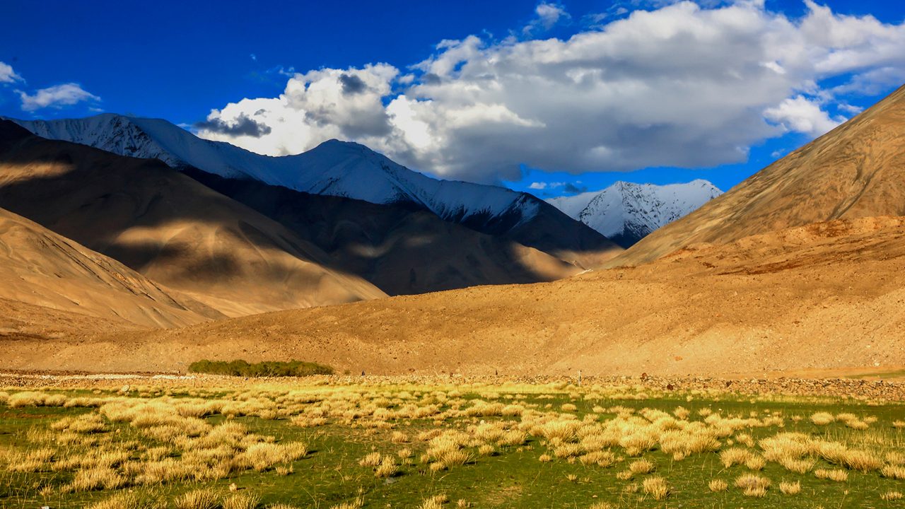 Changthang Wildlife Sanctuary Ladakh: Wildlife, Route & Stay Options