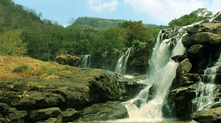 Chinnar Wildlife Sanctuary Kerala: Safari, Trails & Travel Planning