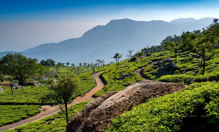 Coonoor: Complete Travel Plan Places And Weather
