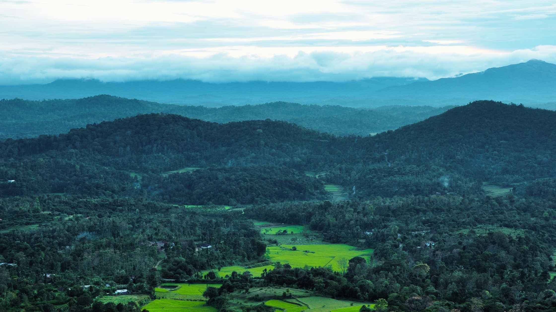 Coorg: Complete Travel Plan Places And Weather
