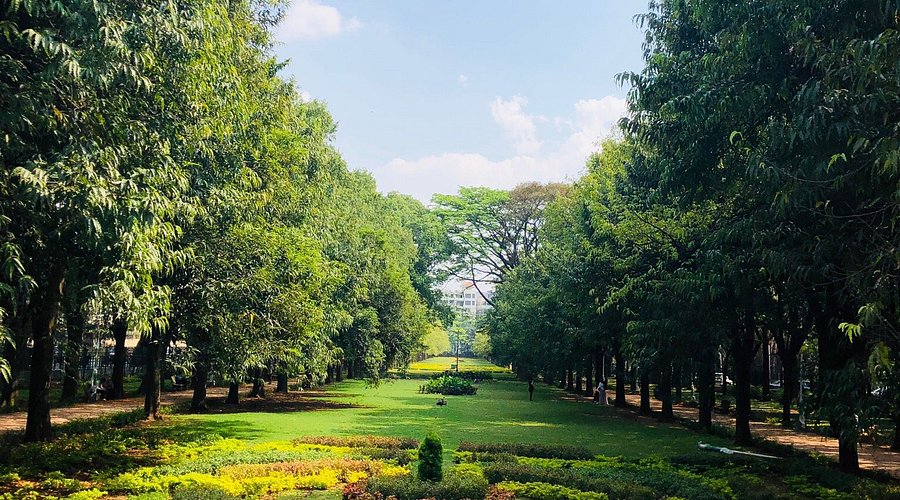 Cubbon Park Bangalore: Timings, Walking Routes & Things to Do