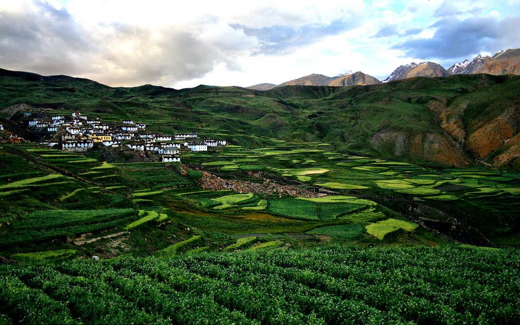 Demul Village Spiti: Homestays, Culture & Valley Views