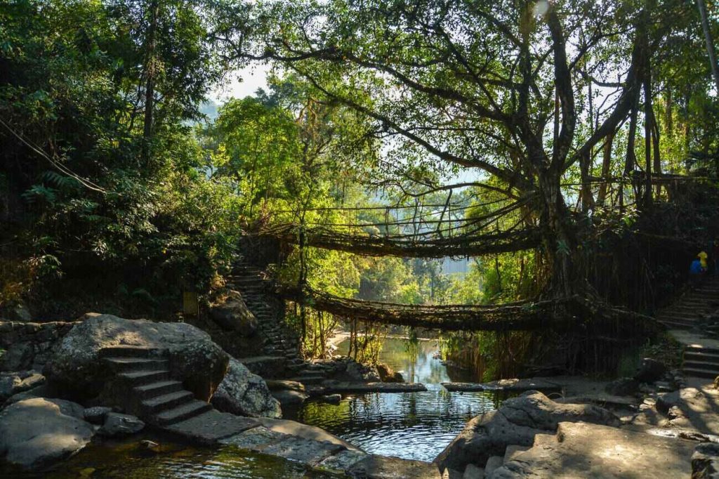 Garden of Caves Meghalaya: Route, Entry Fee & Best Time