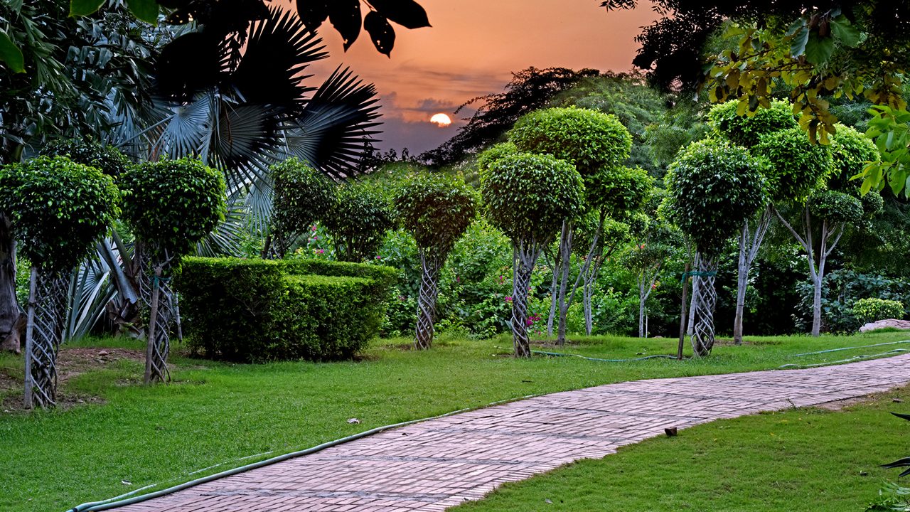 Garden of Five Senses Delhi: Timings, Ticket Price & Nearby Cafes