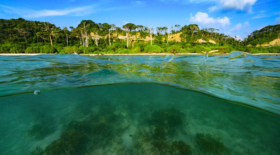 Great Andaman Biosphere Reserve: Ecosystem, Access & Responsible Travel