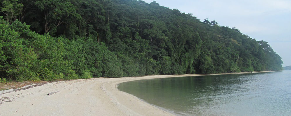 Guitar Island Beach Andaman: Permit, Boat Access & Visit Plan