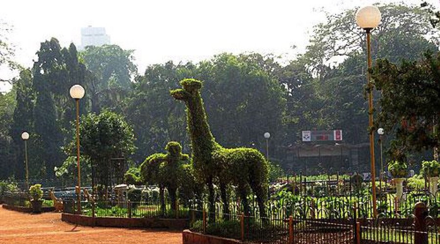 Hanging Gardens Mumbai: Timings, Best Viewpoints & Visitor Info