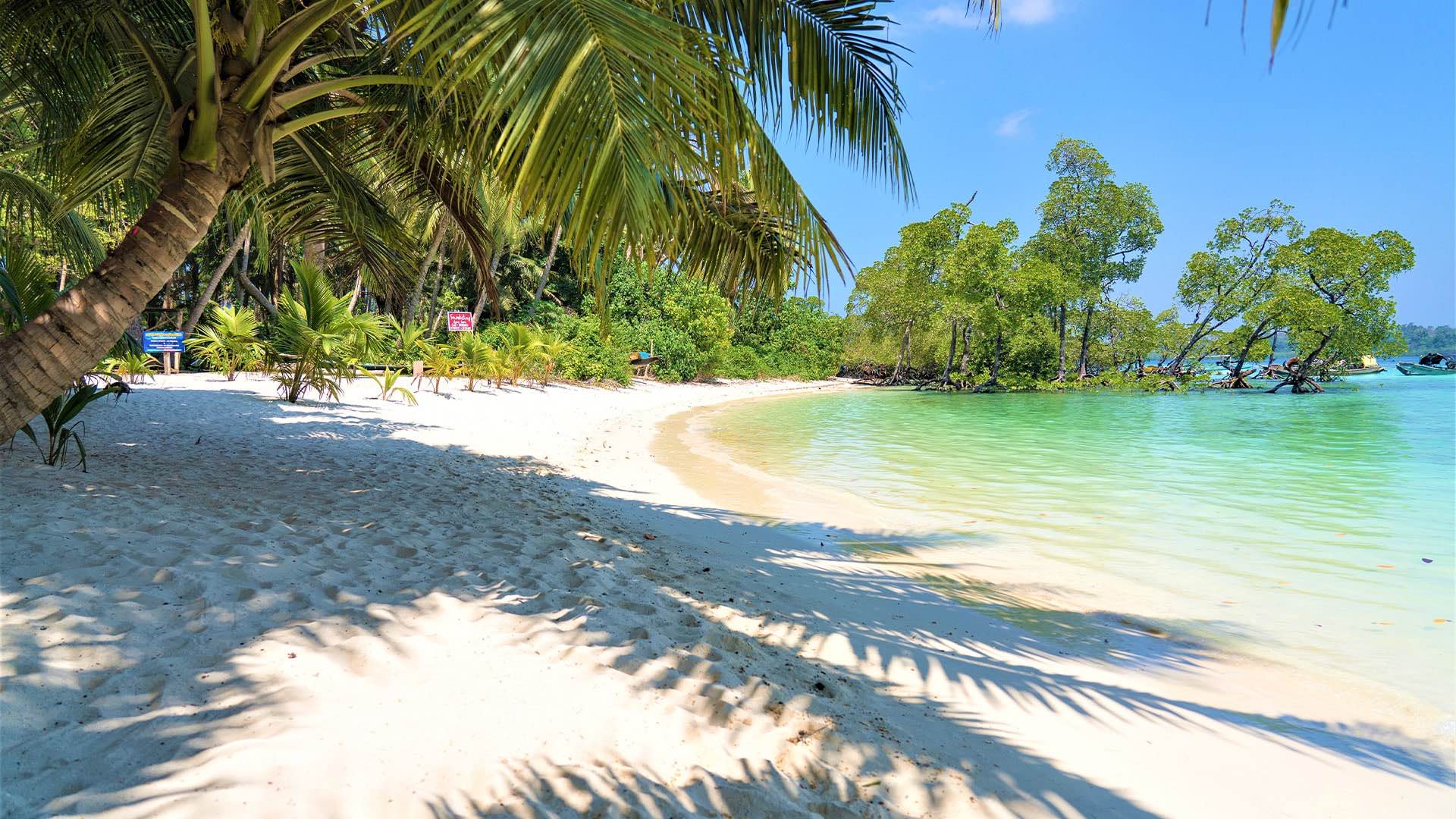 Havelock Island Beach Guide: Best Beach Windows, Water Activities, and Smart Andaman Planning