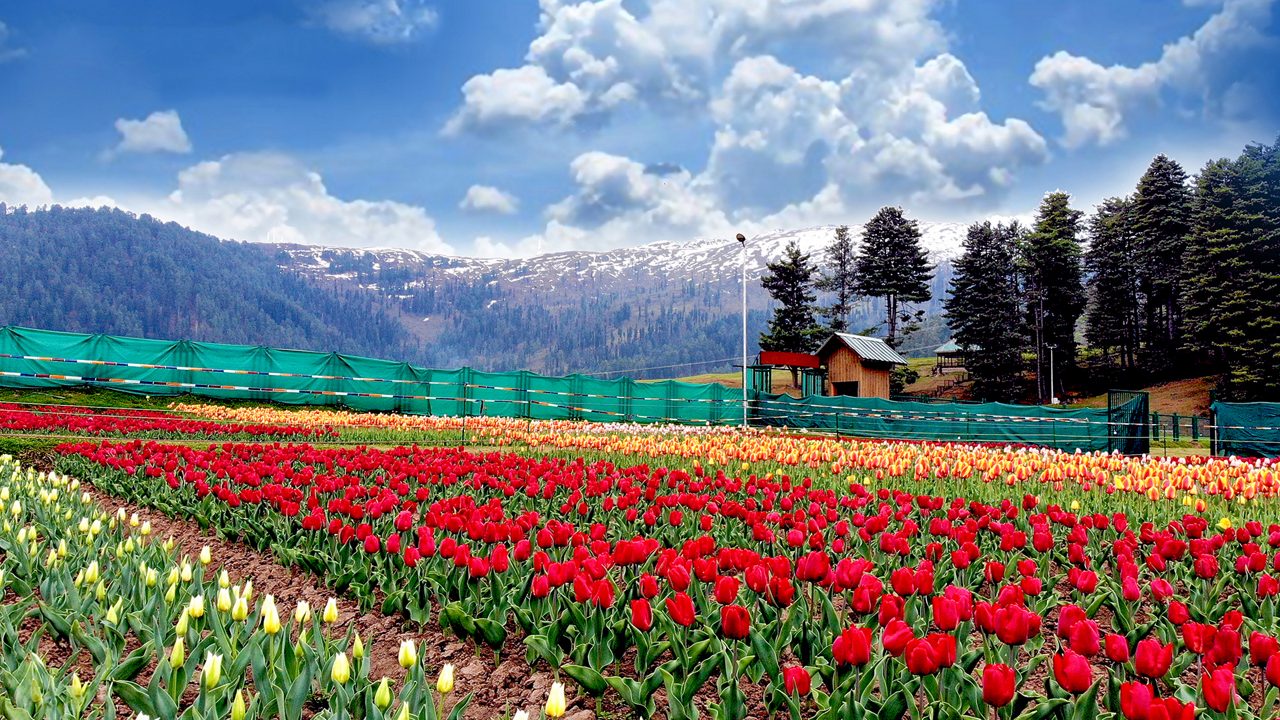15 Hill Stations in Jammu and Kashmir: Distance, Weather & Best Time