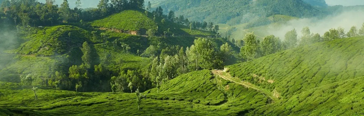 Top 10 Hill Stations in Kerala: Misty Escapes