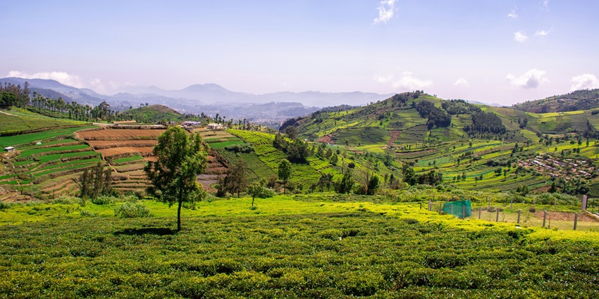 8 Hill Stations Near Erode: Distance, Route & Weekend Plans