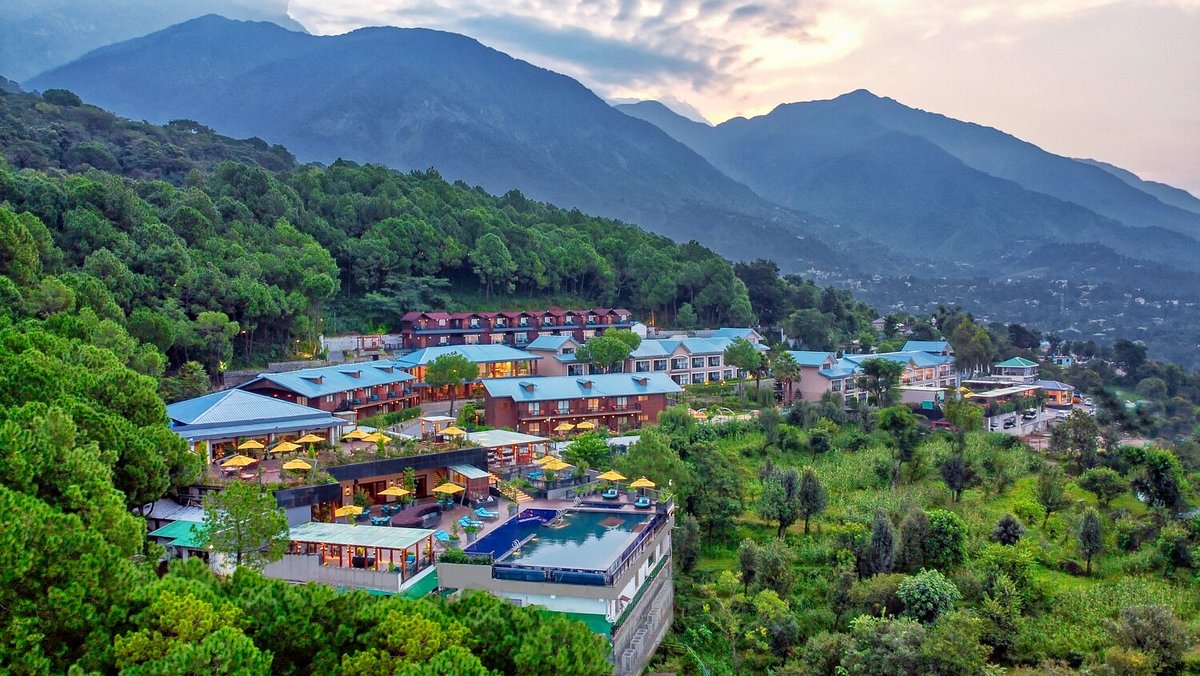 Best Hotels in Dharamshala: Area-Wise Picks, Budget to Luxury