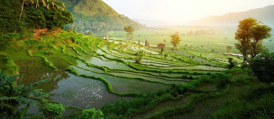 Islands Near Bali: Complete Guide to Day Trips