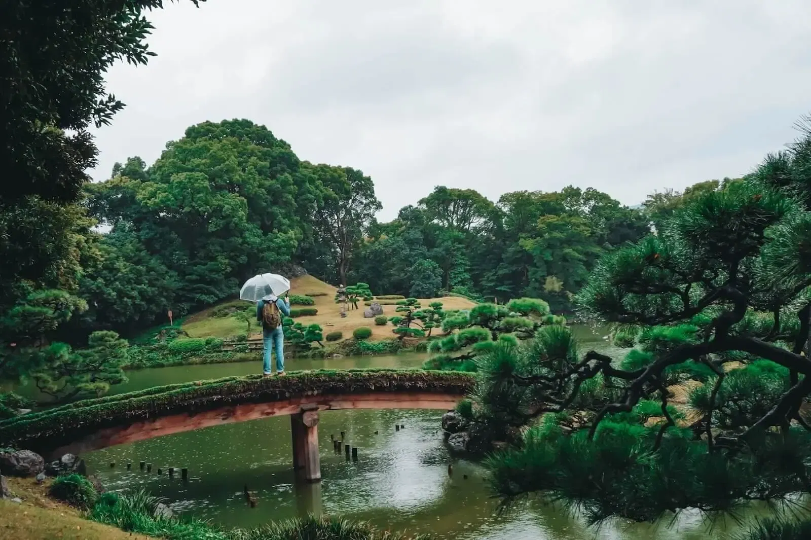 Japanese Park Delhi: Entry Info, Activities & Best Visit Time