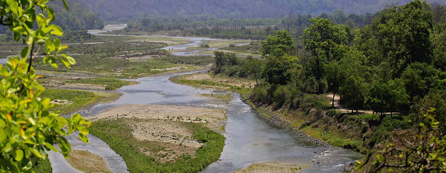 Jim Corbett National Park: Safari Zones, Permit Booking & Best Time