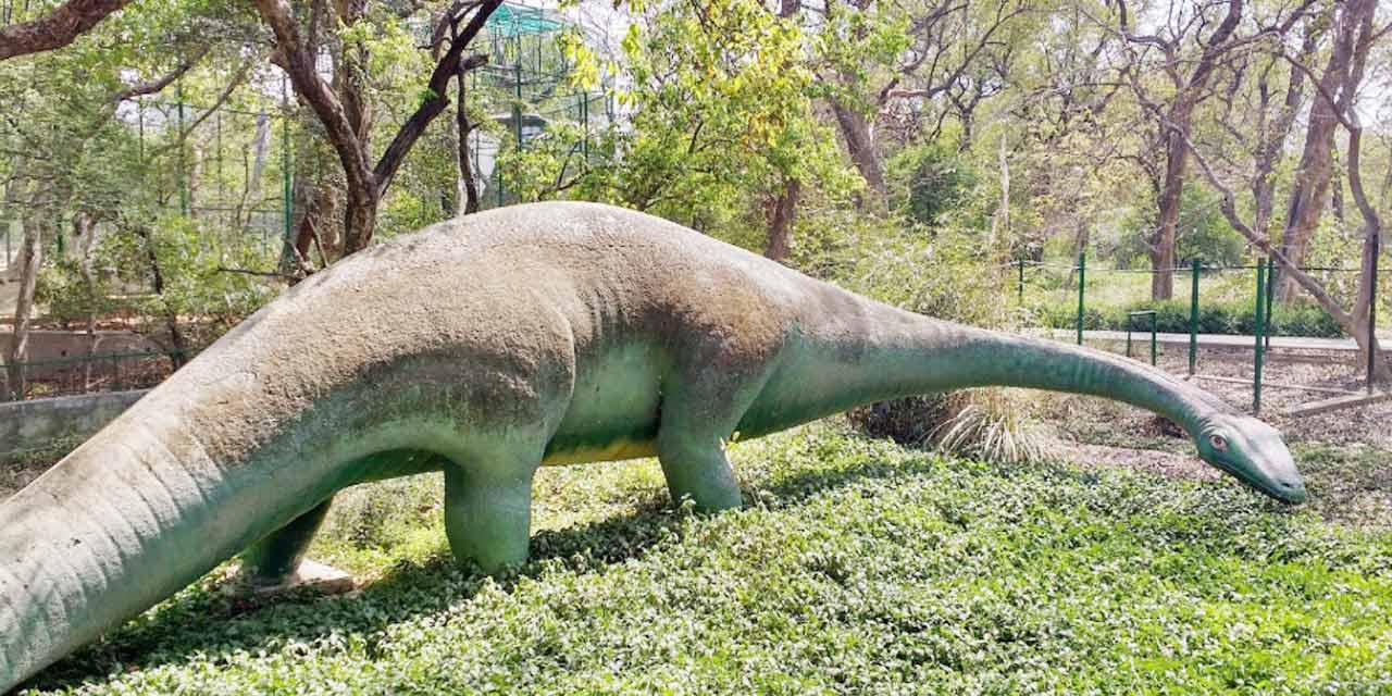 Kanpur Zoological Park: Timings, Entry Fee & Animal Highlights