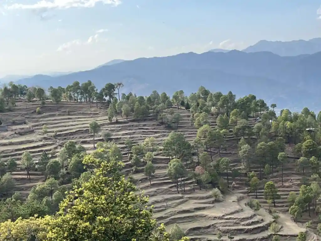 Kasar Devi: How To Reach Best Time And Attractions