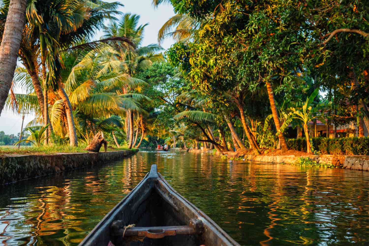 Backwaters of Kerala: Best Routes, Houseboats & Ideal Season
