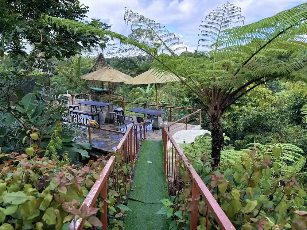 Kopi Luwak Coffee Bali: Plantation Guide & Ethics