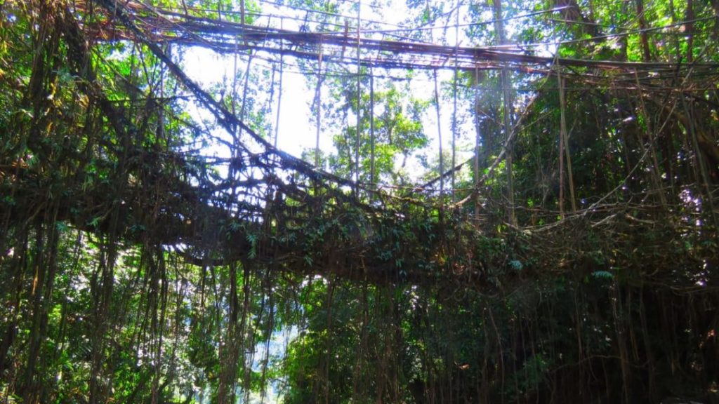 Kudengrim Meghalaya: Khasi Village Culture, Trails & Stay Options