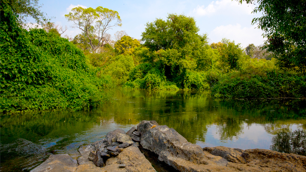 Kuruvadweep Wayanad: Entry Fee, Timings & Bamboo Rafting Info