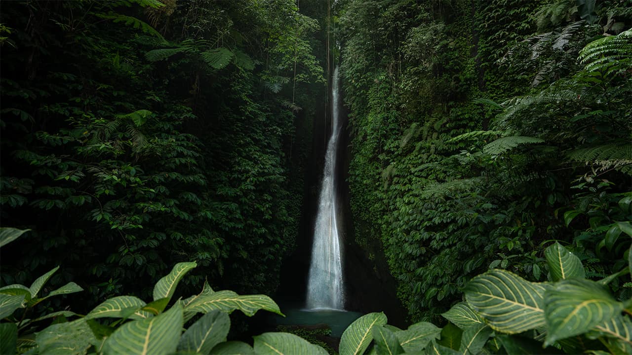 Leke Leke Waterfall Bali: Trek Guide & Tips
