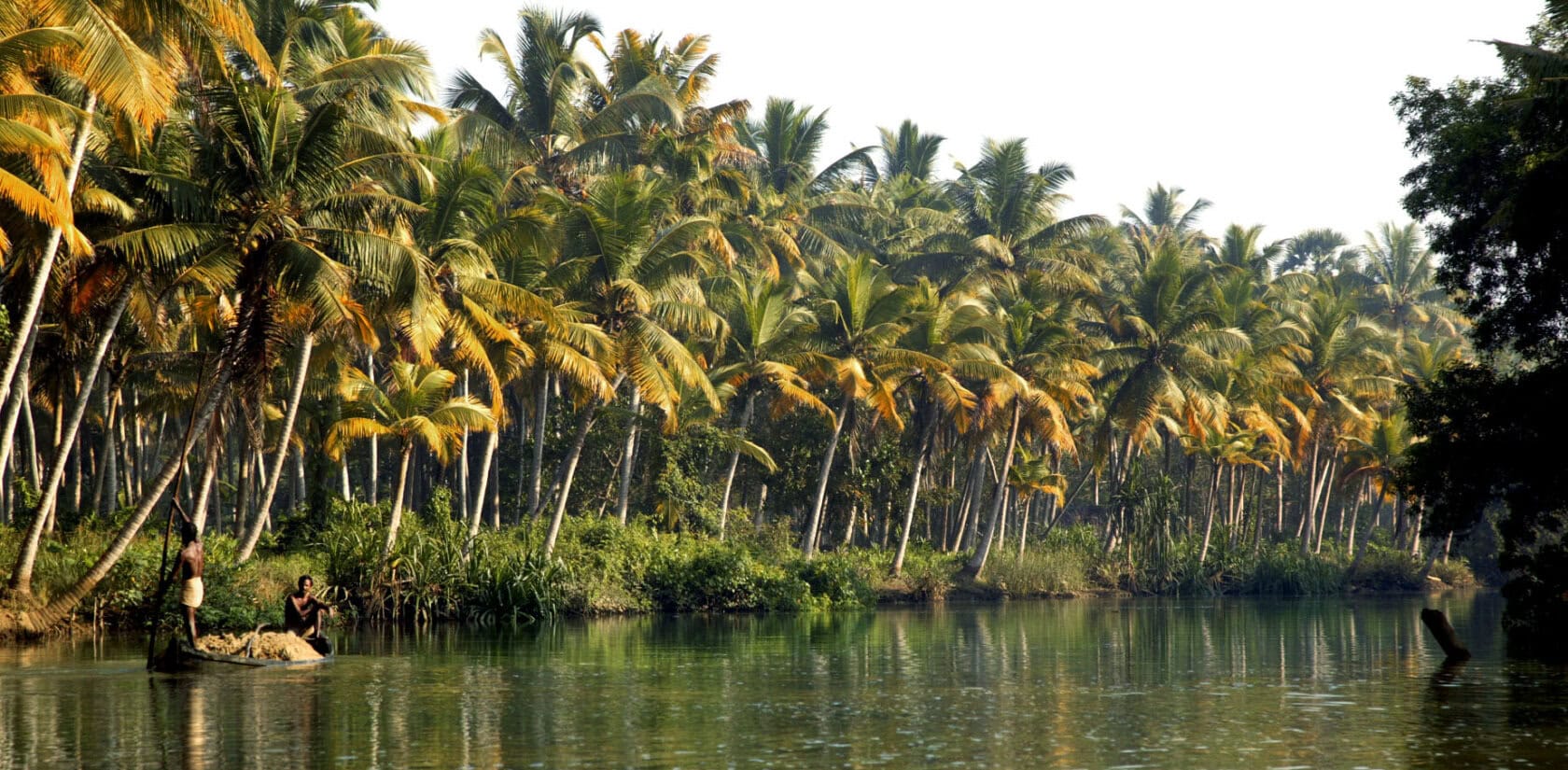 Malabar Junction Kerala: Menu, Price Range & Signature Dishes