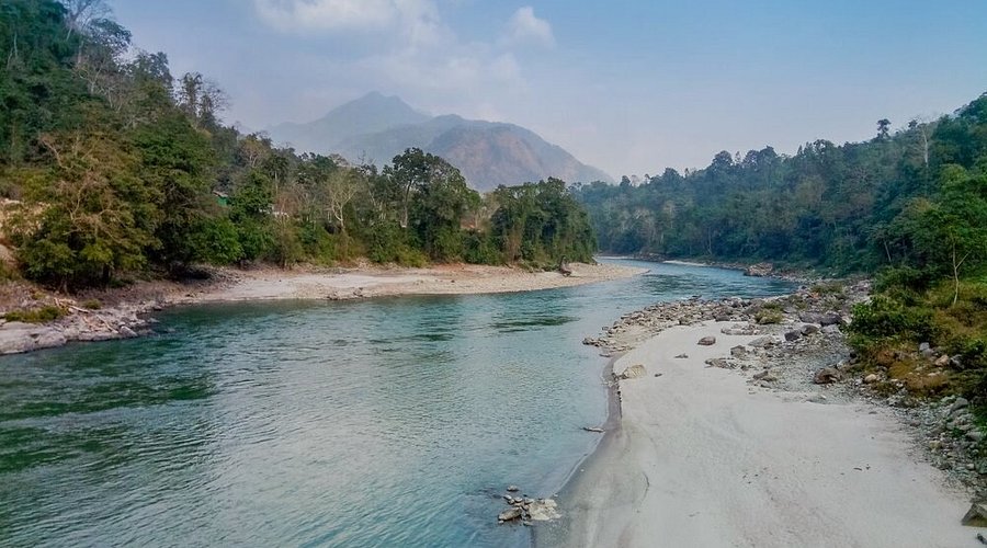 Manas National Park: Complete Travel & Safari Guide 2026