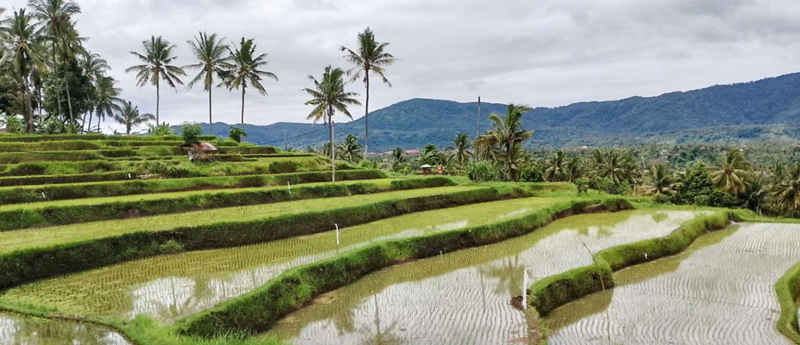 Mayong Village Assam: Black Magic & History