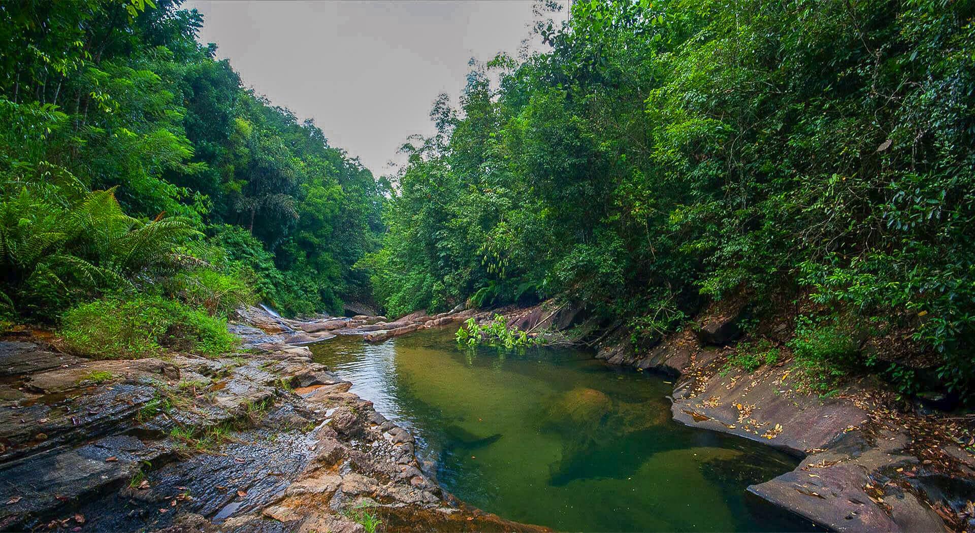 Meghalaya in Monsoon: Travel Guide & Tips