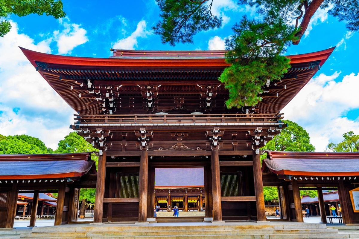 Meiji Jingu Shrine Tokyo: History, Rituals, and Tips