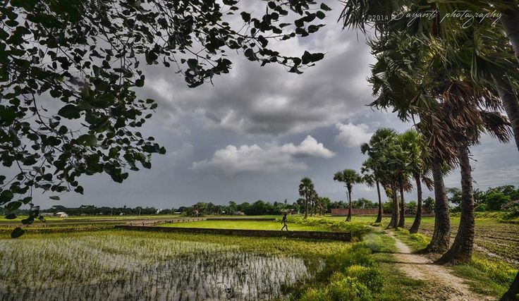 West Bengal in Monsoon: Best Destinations, Weather & Travel Tips
