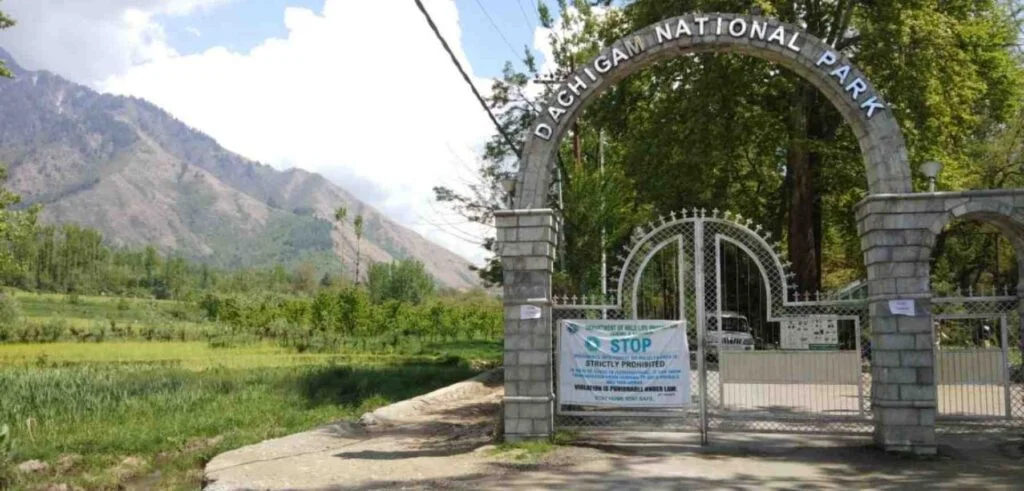 National Parks in Kashmir: Wildlife, Trek Routes & Seasonal Access