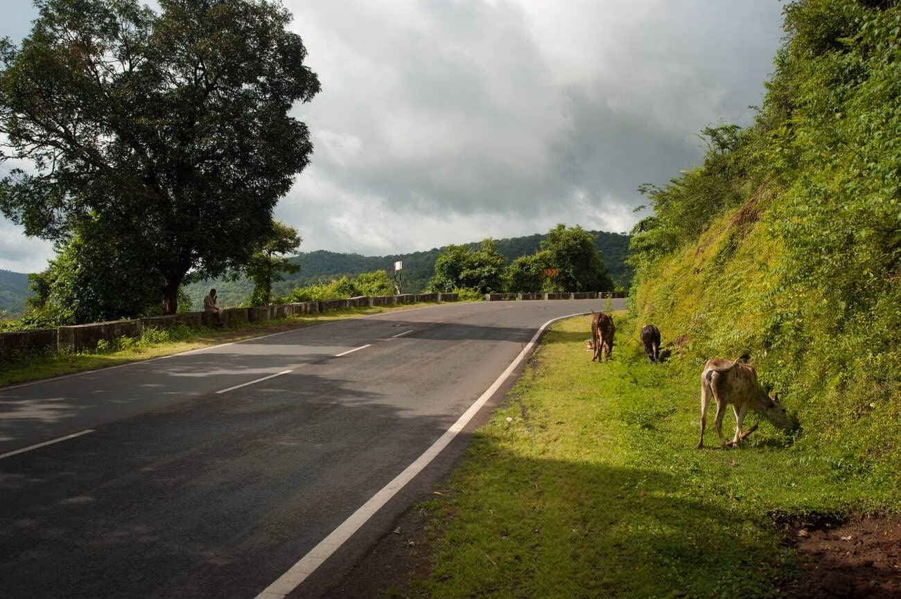 NH 17 Horror Story Goa: Ghost Tales and Highway Truth