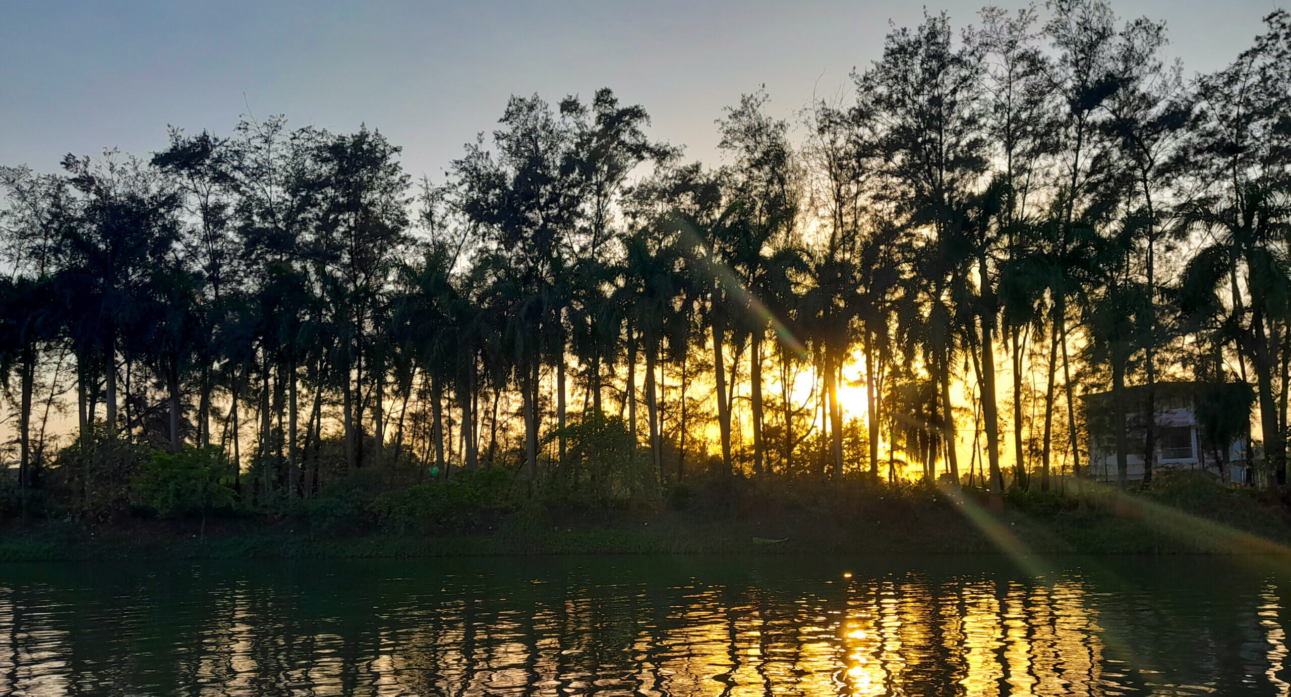 Nightlife in Daman and Diu: Complete Nightlife Guide 2026