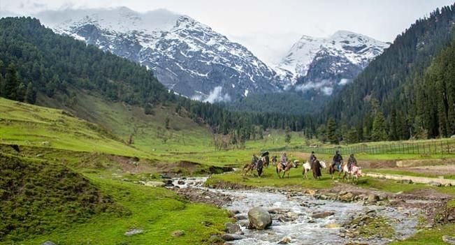 Ningle Nallah Kashmir: Trek Route, Meadow Views & Trip Plan