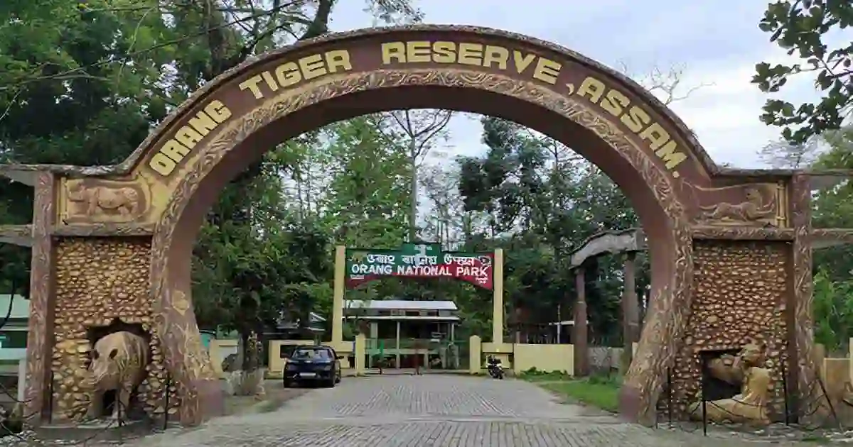 Orang National Park: Assam's Mini Kaziranga Safari Guide 2026